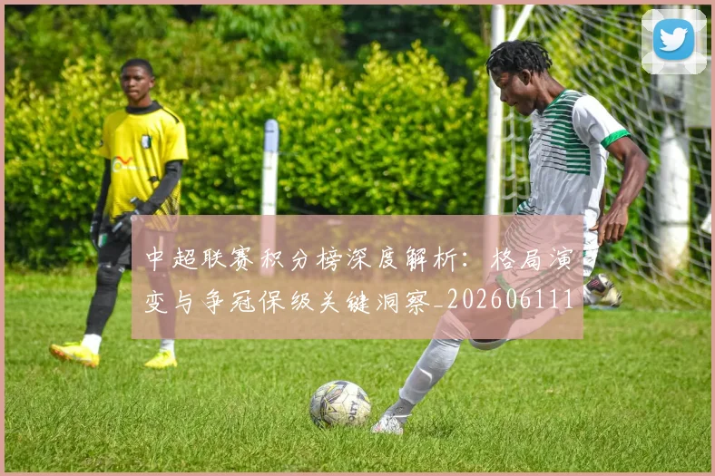 中超联赛积分榜深度解析：格局演变与争冠保级关键洞察_20260611140845